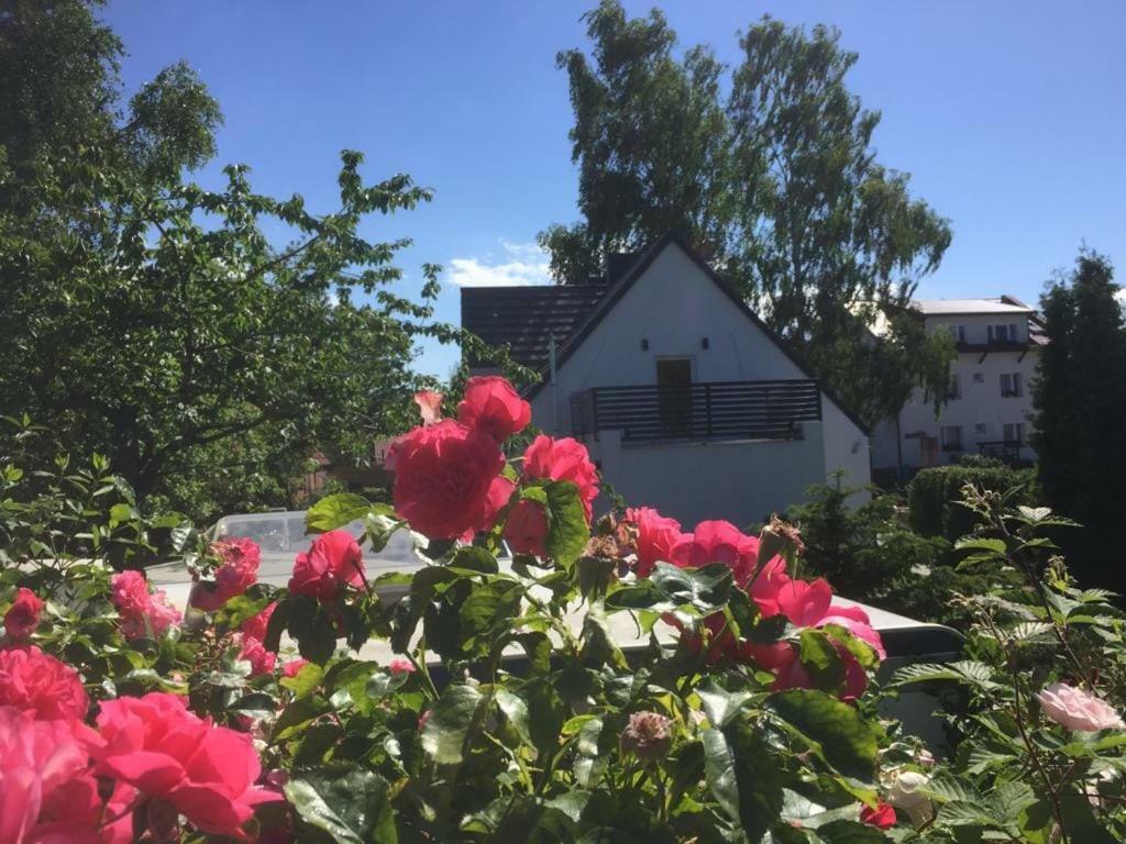 Jagodowy Dwor Appartement Jastarnia Buitenkant foto